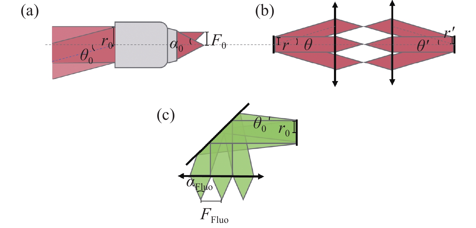 Definition of optical invariants. (a) Optical invariants of the imaging objectives; (b) Optical invariants of the scanning relay; (c) Optical invariants of the fluorescence collection system