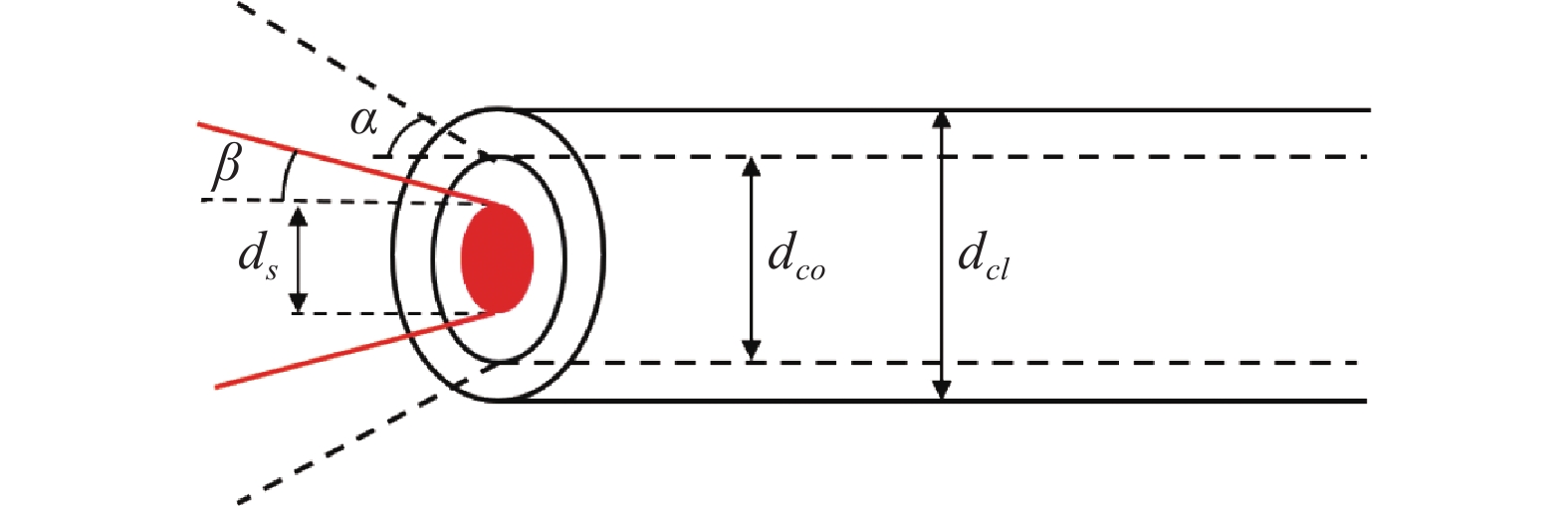 Schematic diagram of the optic switch coupling