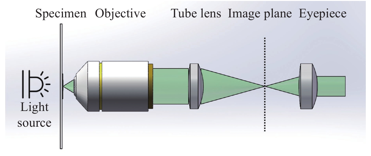 Infinite microscope optical system