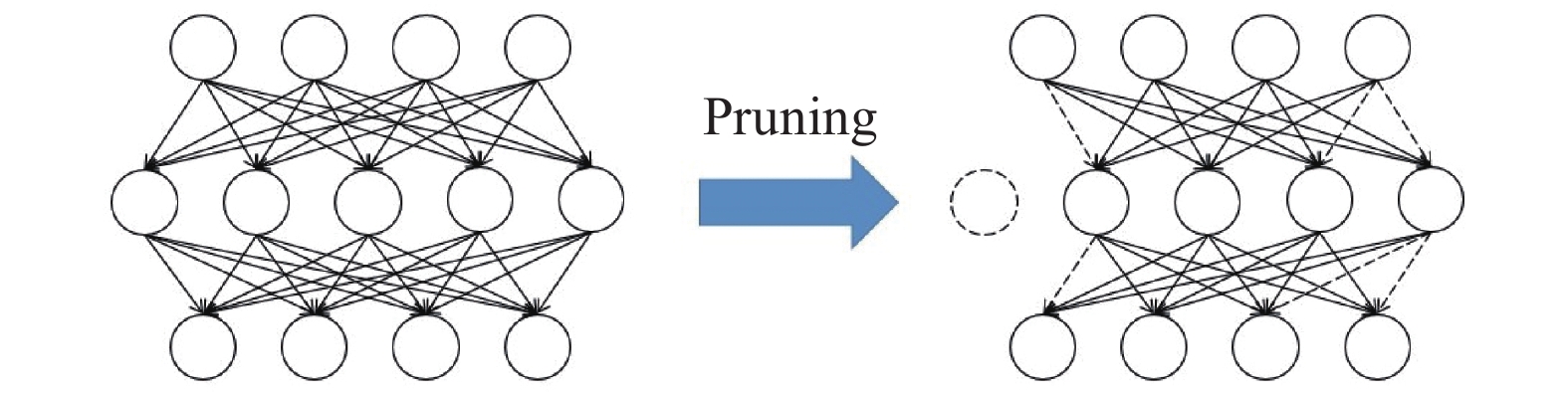 Schematic of network pruning