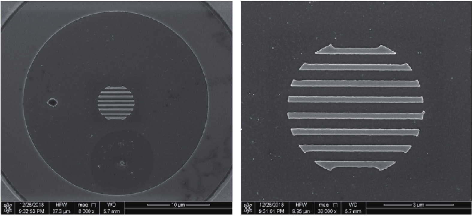 SEM images of the surface grating, which with a period of 700 nm, a duty cycle of 0.5, and an etching depth of about 60 nm. The diameter of the grating area is 5 μm
