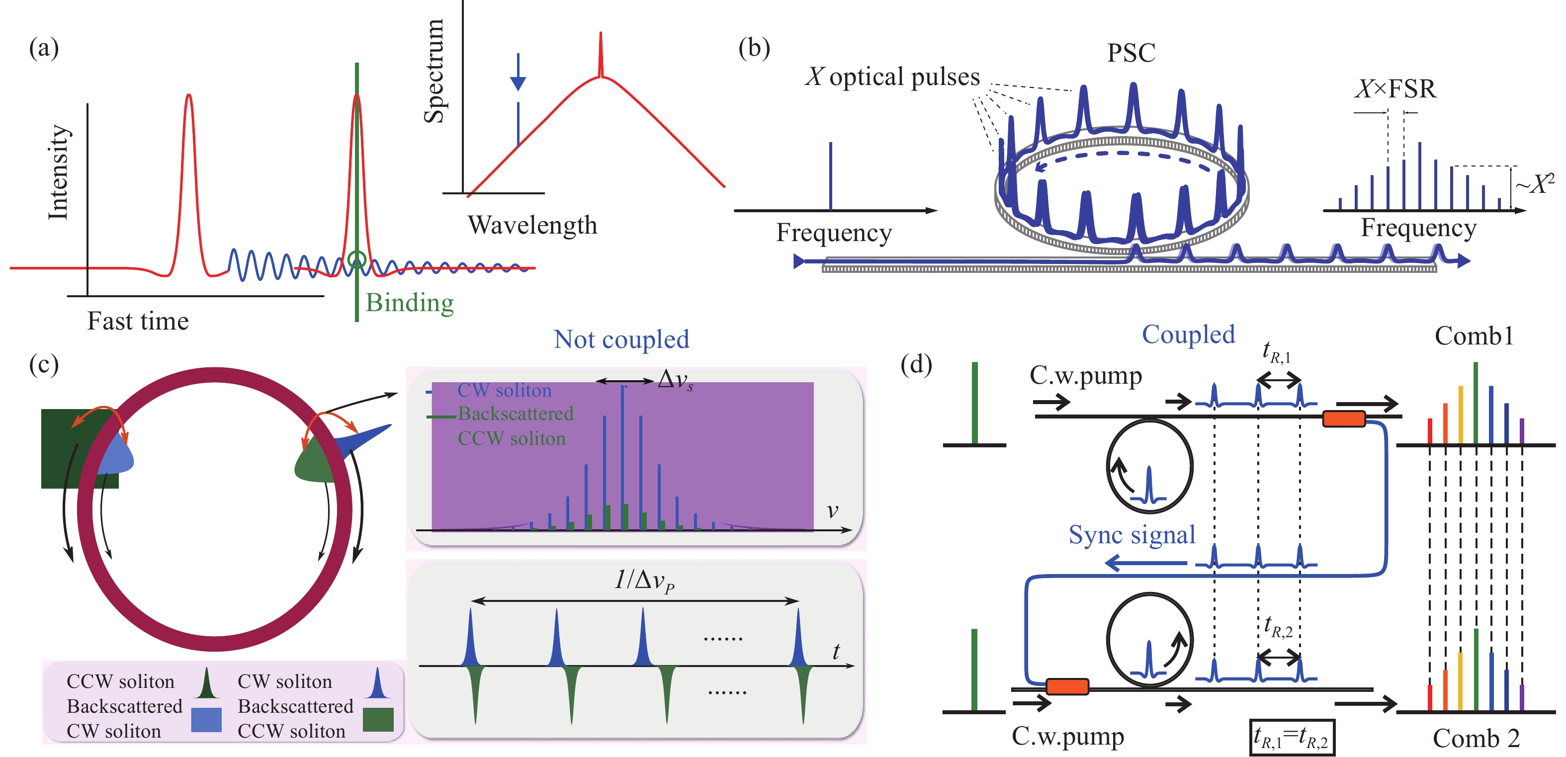 Soliton interaction in microcavities：(a) Illustration of co-propagating (CoP) solitons trapped by dispersive wave emission[79]; (b) Perfect soliton crystals (PSC) comprising X solitons in a microcavity[80]; (c) Counter-propagating (CP) solitons interaction via Rayleigh backscattering[82]; (d) Synchronization of solitons in two different microcavities via injecting one of the solitons into the other one[84]