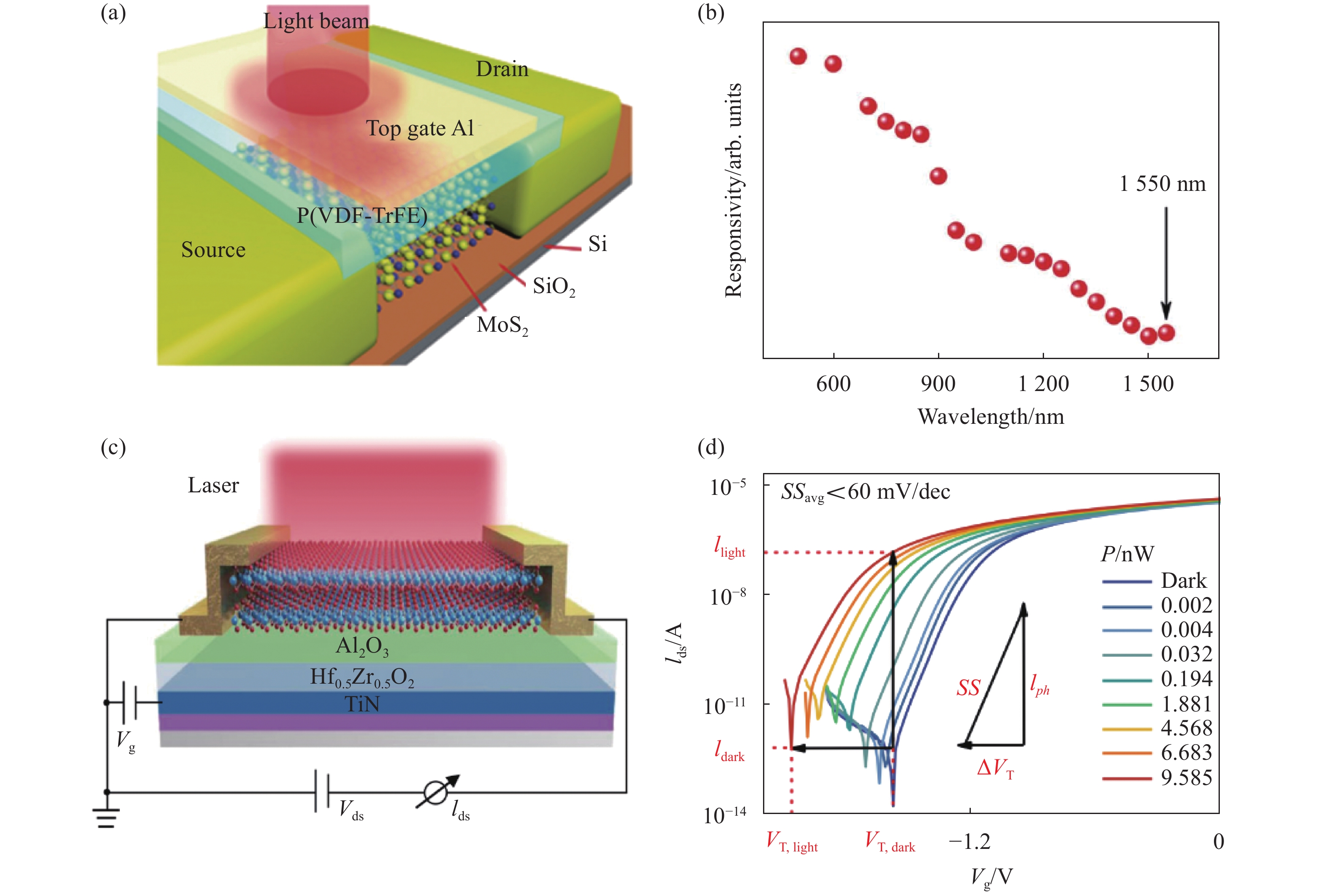 Ferroelectric localized field-enhanced MoS2 photodetector. (a) Schematic diagram of MoS2 top-gate device structure tuned by ferroelectric material； (b) Photoresponsivity under different wavelength[14]； (c) Schematic diagram of structure and test circuit of MoS2 negative capacitance field effect transistor tuned by ferroelectric material； (d) Transfer characteristic curves under different incident light powers[23]