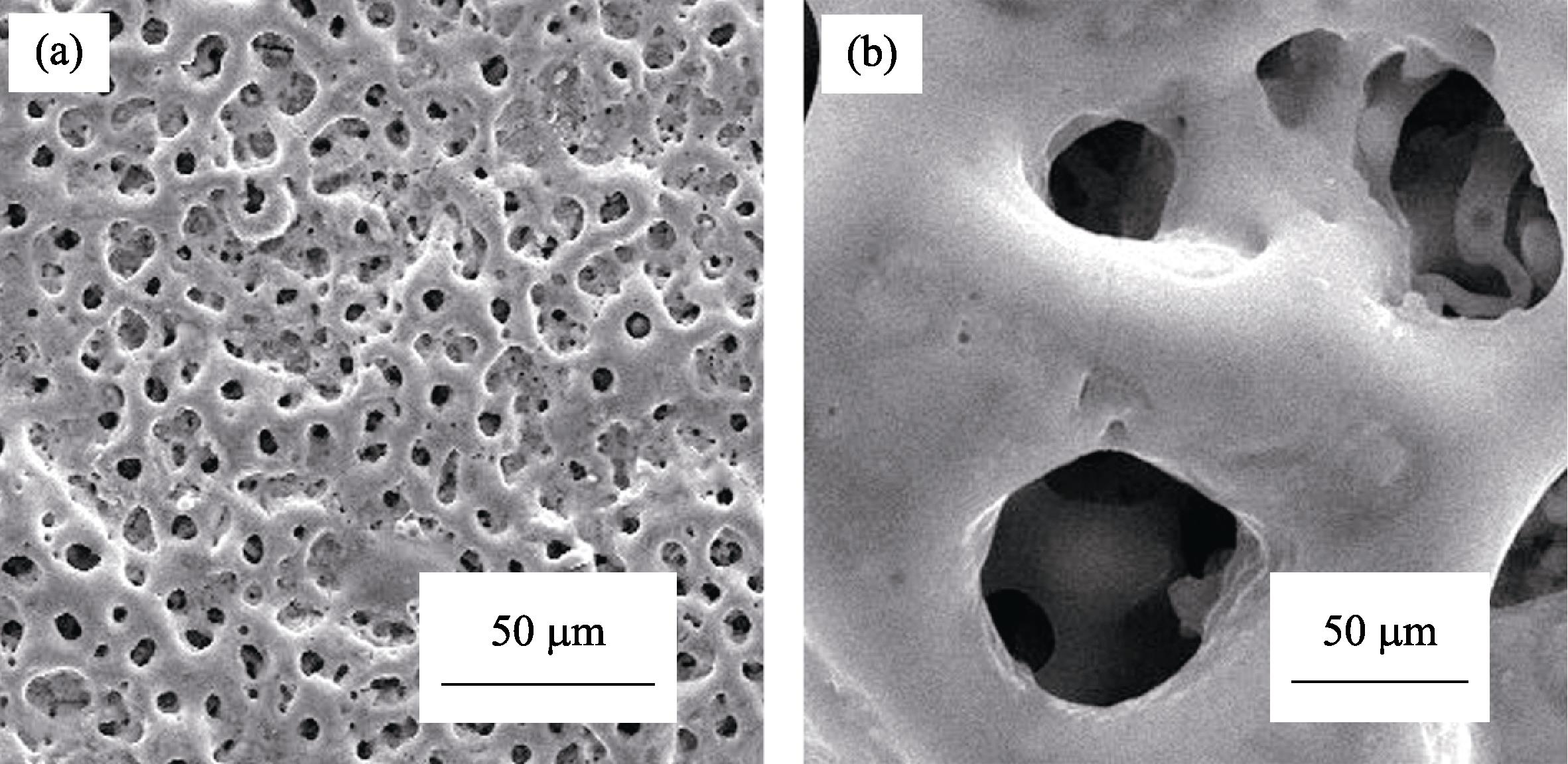 XRD patterns of SrTiO3 samples prepared under different hydrothermal conditions