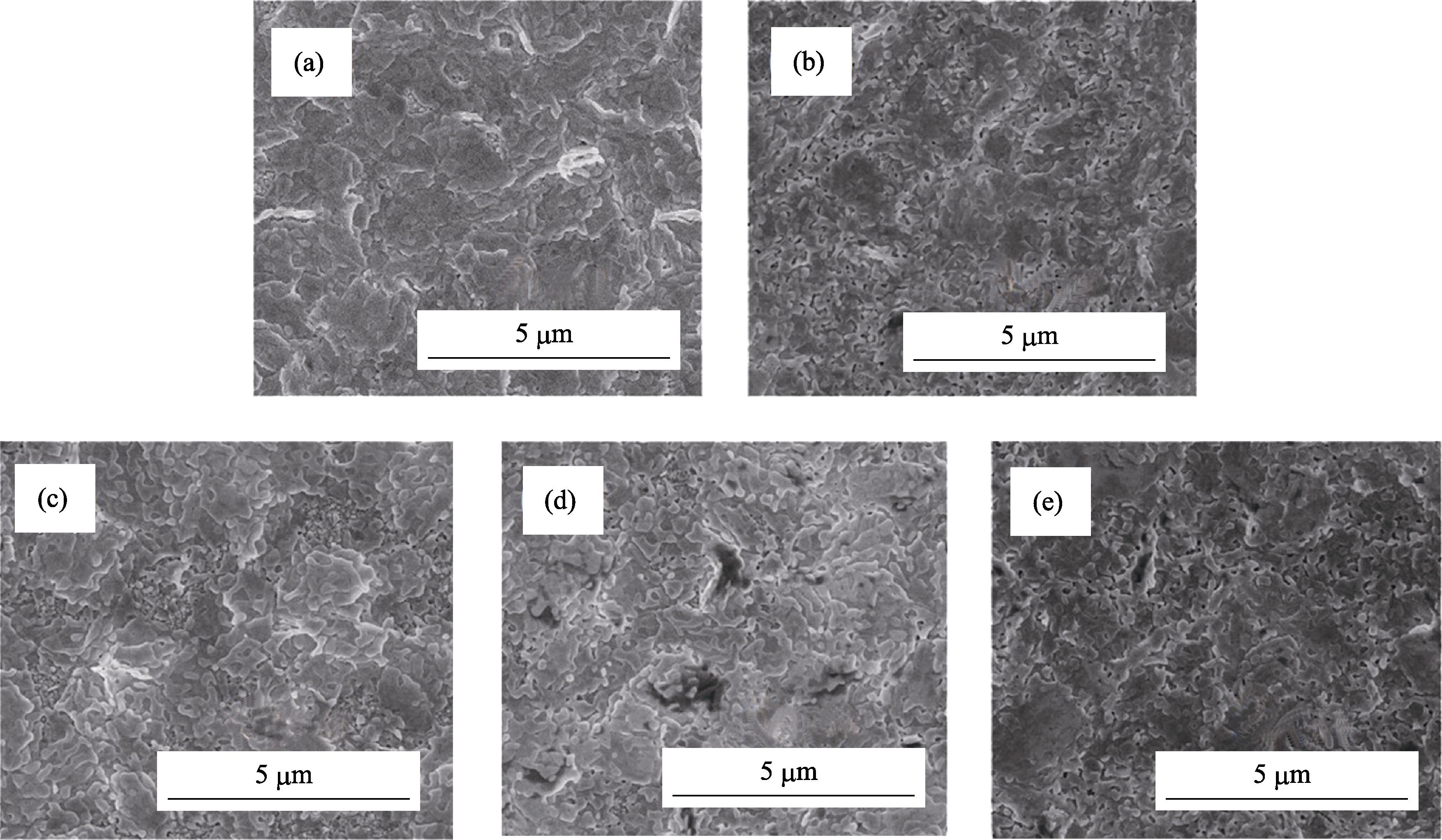 Surface SEM images of PbI2 films on the glass with or without polymer modification (a) Without PVP; (b) 0.2wt% PVP; (c) 0.4wt% PVP; (d) 0.6wt% PVP; (e) 0.8wt% PVP