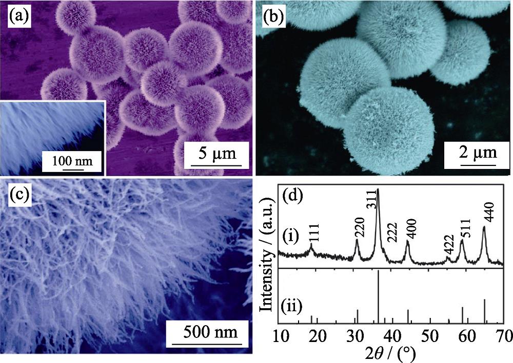 SEM images of NiCo2O4 microsphere prepared by hydrothermal method: (a) before and (b, c) after calcination with (d) XRD patterns of NiCo2O4 powders[34]