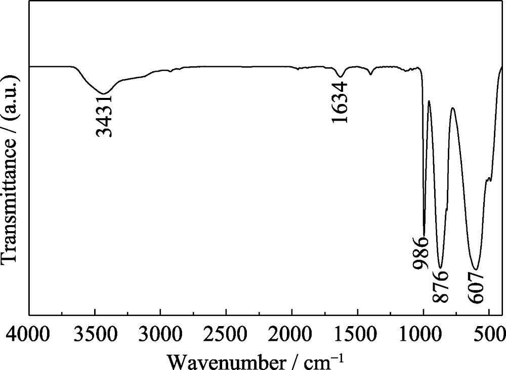 FT-IR spectrum of the product calcined at 400 ℃ in air for 2 h