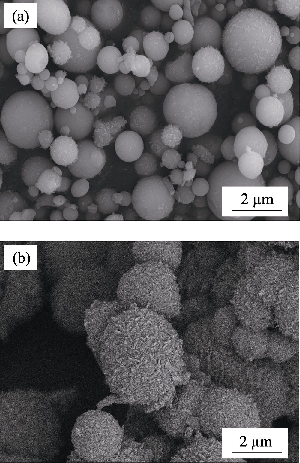 SEM images of Al powders(a) Room temperature; (b) 1100 ℃, 0.5 h