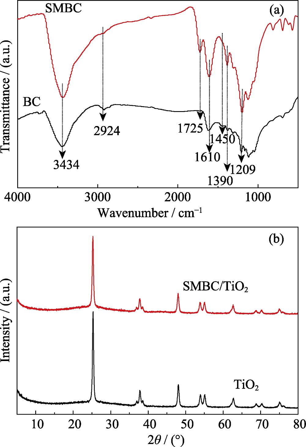 (a) FT-IR spectra of BC and SMBC, (b) XRD patterns of pure TiO2 and SMBC/ TiO2 nanocomposites
