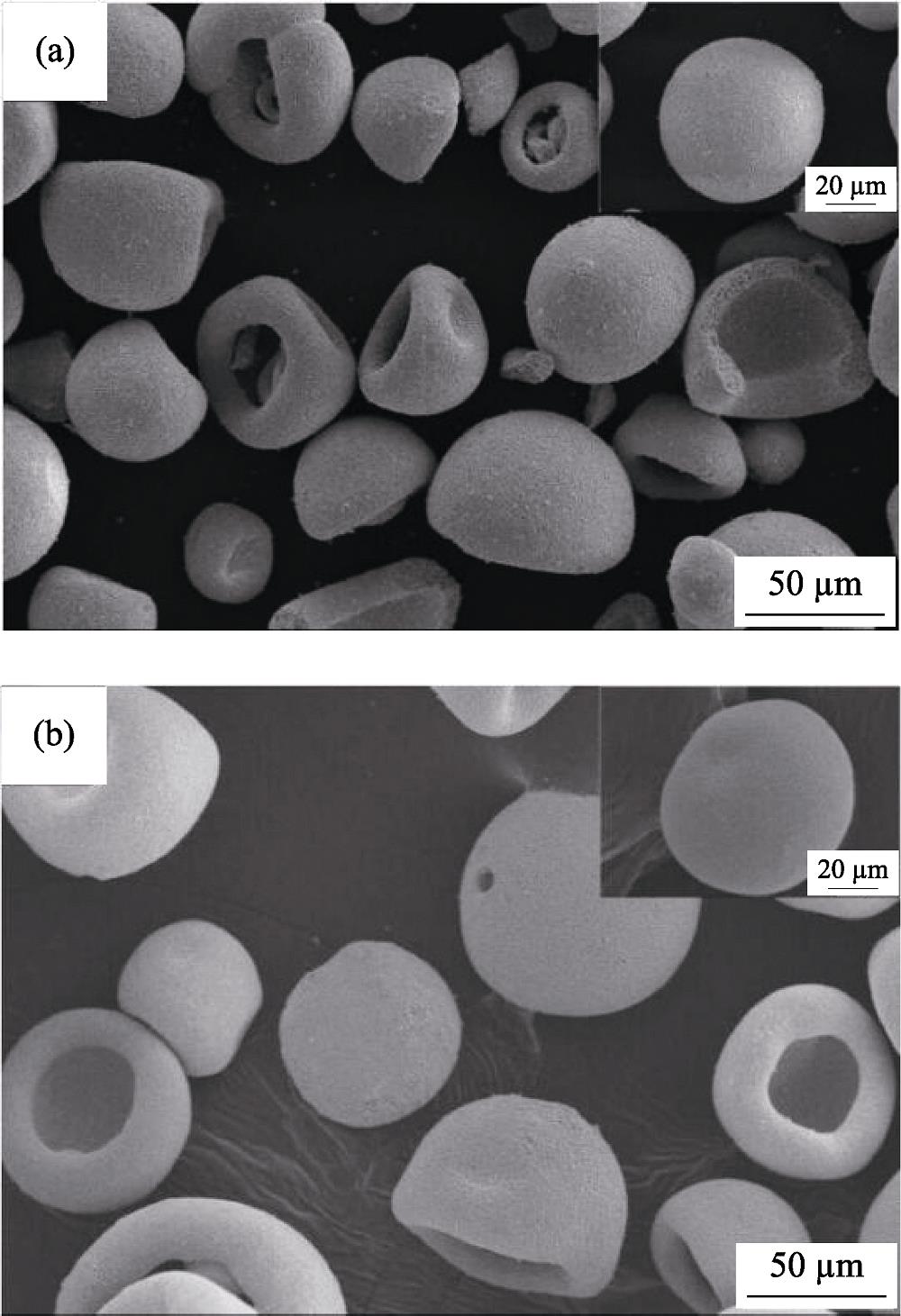 SEM images of two different powders