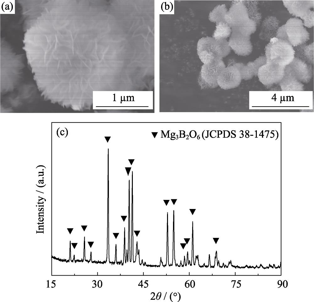 (a) High- and (b) low-magnification SEM images, and (c) XRD pattern of the magnesium borate nanosheets