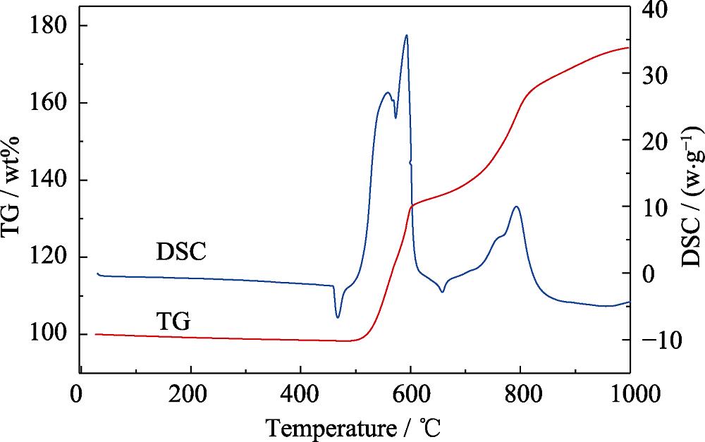 TG-DSC curves for Mg-Al alloy heated in air