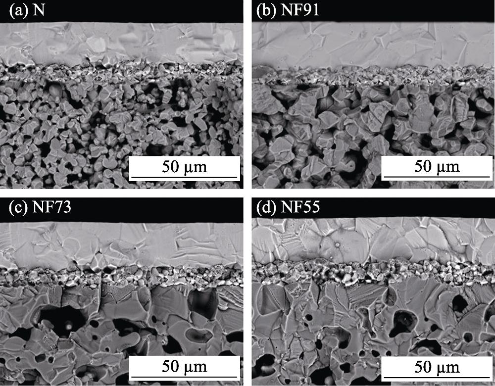 Cross-sectional micrographs of MS-SOFC with N, NF91, NF73, and NF55 supports