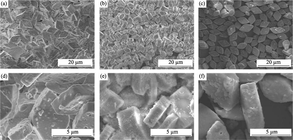 SEM images of the LCP obtained from various solvents