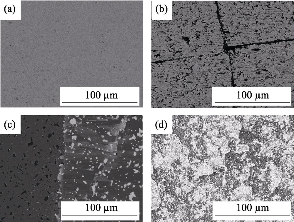 Wear face microstructures of the blocks in different WC/SiC pairs without lubrication