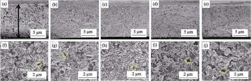 Cross-sectional FESEM images of the composite thick films prepared with different contents of Bi0.5Sb1.5Te3 powder