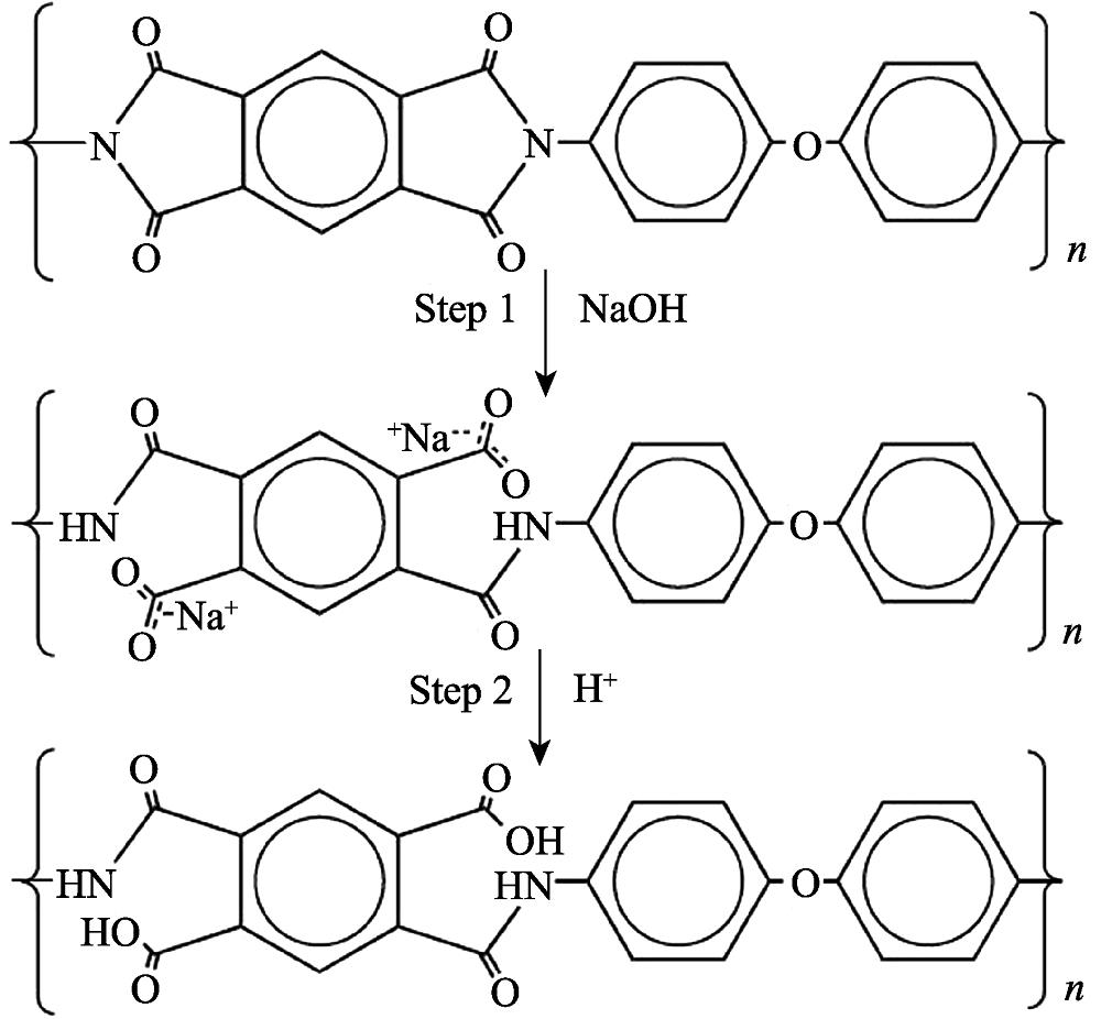 PI surface modification to form polyamic acid: NaOH hydrolysis of PI (Step 1) to form sodium salt of polyamic acid followed by acidification (Step 2) to form polyamic acid[50]