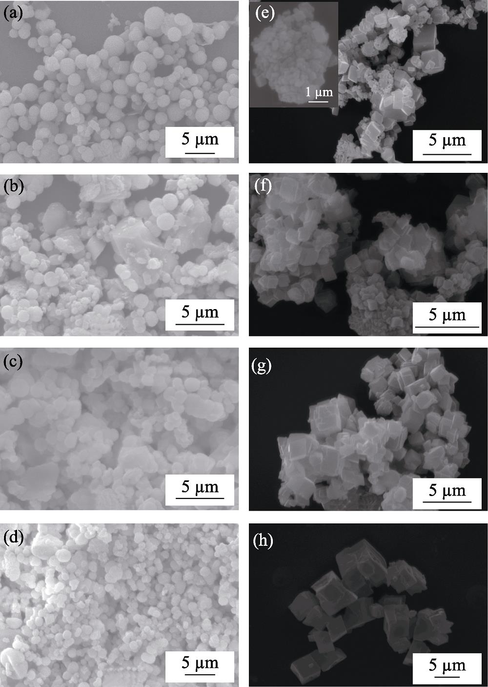 SEM images of CaCO3 prepared from ethanol-calcium method (a-d) and EWBS method (e-h) after aging for different times