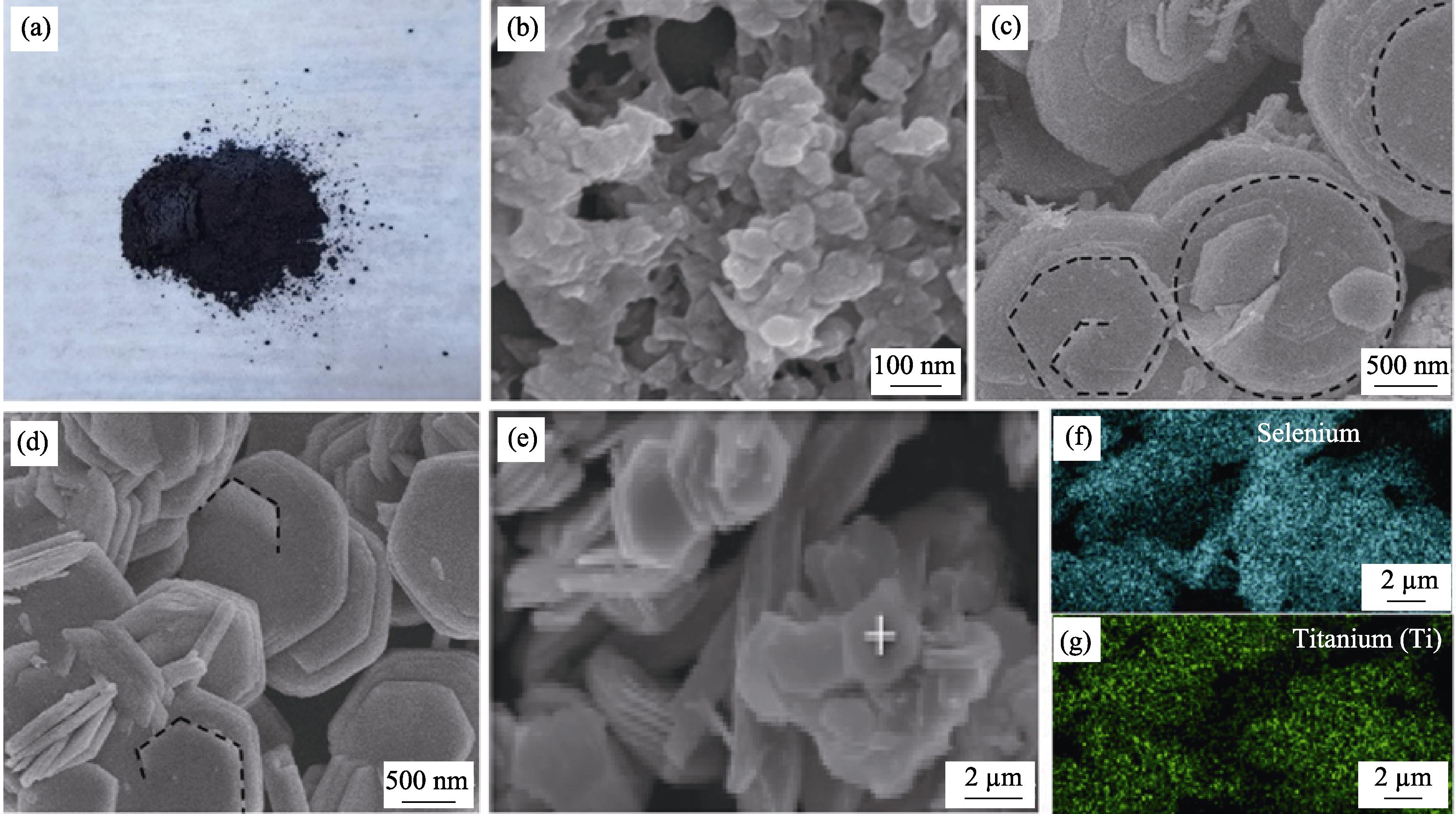 Photograph of TiSe2 powder (a); SEM images of TiSe2-10 min (b), TiSe2-50 min (c), TiSe2-90 min (d) and EDS mapping of TiSe2-90 min (e-g)