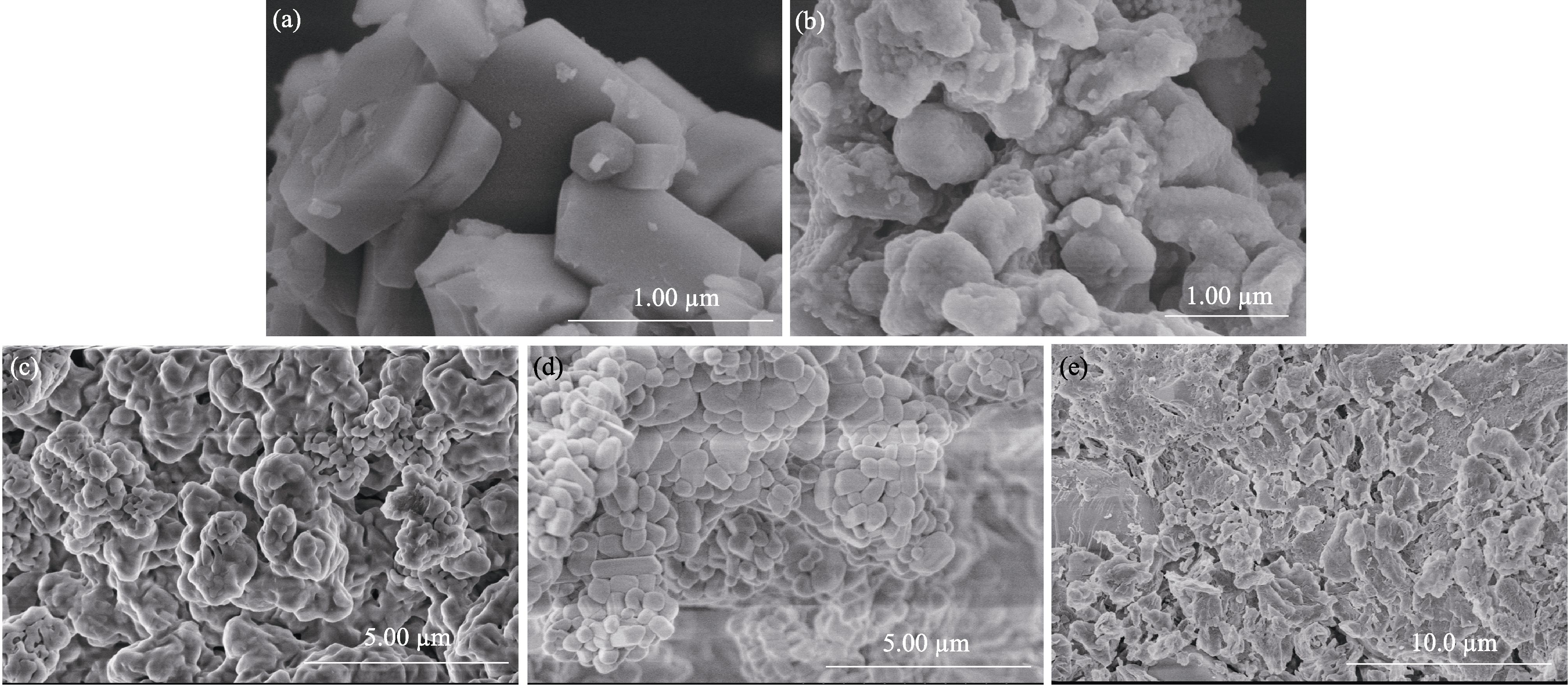 SEM images of MgB2 oxidation residues