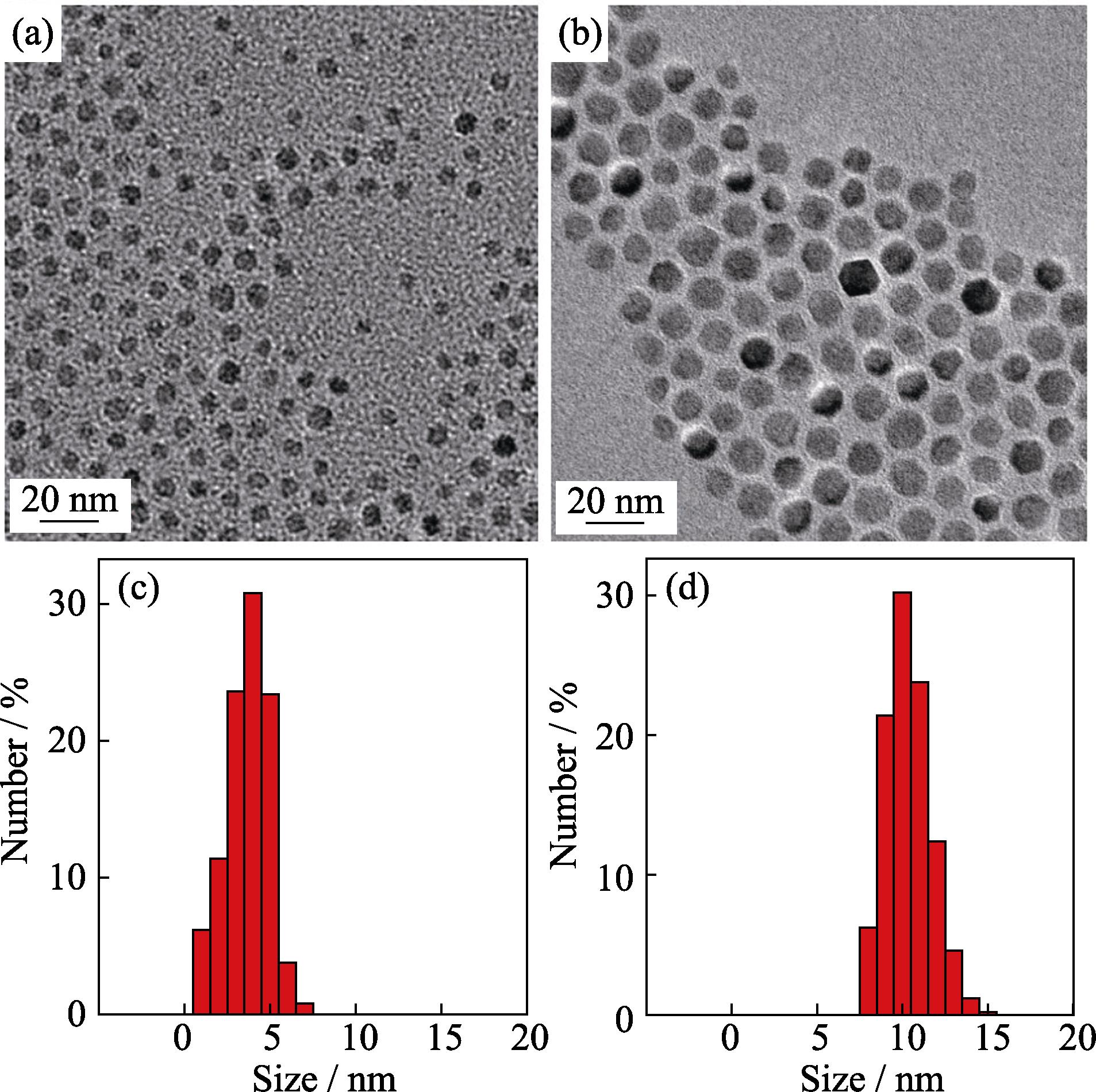TEM images of ZnMn-Fe3O4 nanoparticles and histograms of their size distributions obtained by Fe(acac)3, Mn(acac)2 and Zn(acac)2 with (a, c) and without (b, d) adding 1,2-hexadecanediol