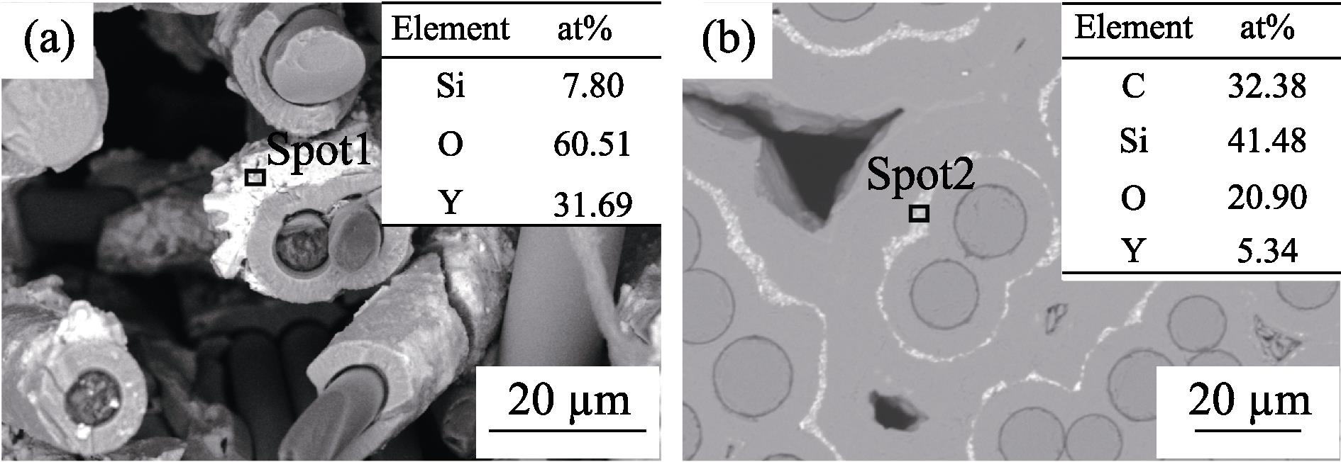 SEM images of samples (a) P1 and (b) C1 with insets showing EDS analysis of the white region in sample P1 and C1