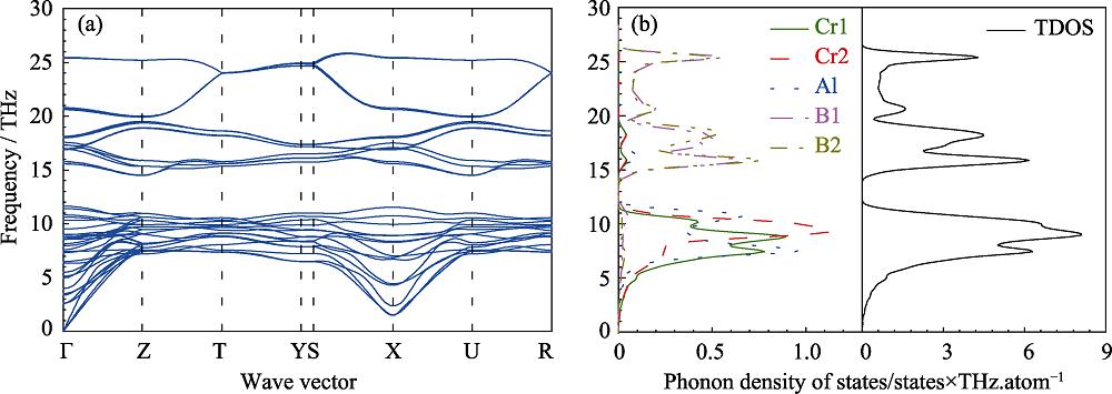Phonon dispersions (a) and density of state (b) of Cr4AlB4 along the high symmetry directions