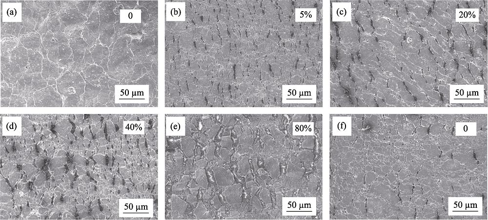 Surface SEM images of the Ti3C2Tx/CNT film at various stretching states during the first strain-release cycle[55]