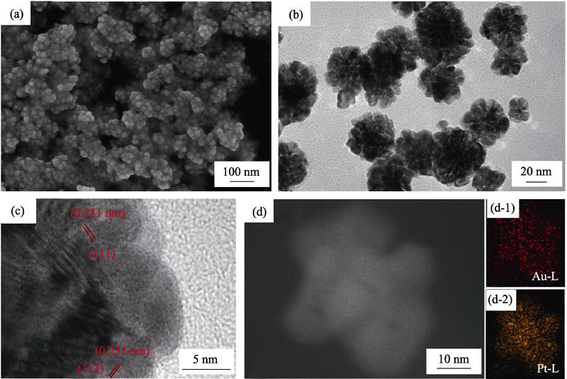 (a) SEM and (b) TEM images of the as-synthesized Pt-Au DNPs (after 20 min reaction); (c) HRTEM image, (d) STEM image and EDS mapping for Au, Pt elements distribution of one single Pt-Au nanoparticle (d-1: Au and d-2:Pt)