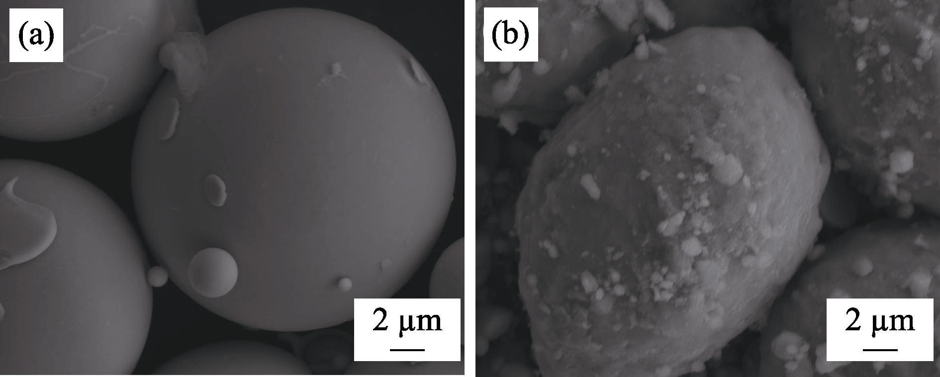 SEM secondary electron images of air atomized Fe powder (a) and pure Fe powder (b) coated with Ni0.5Zn0.5Fe2O4 (0.5wt% MnO2)
