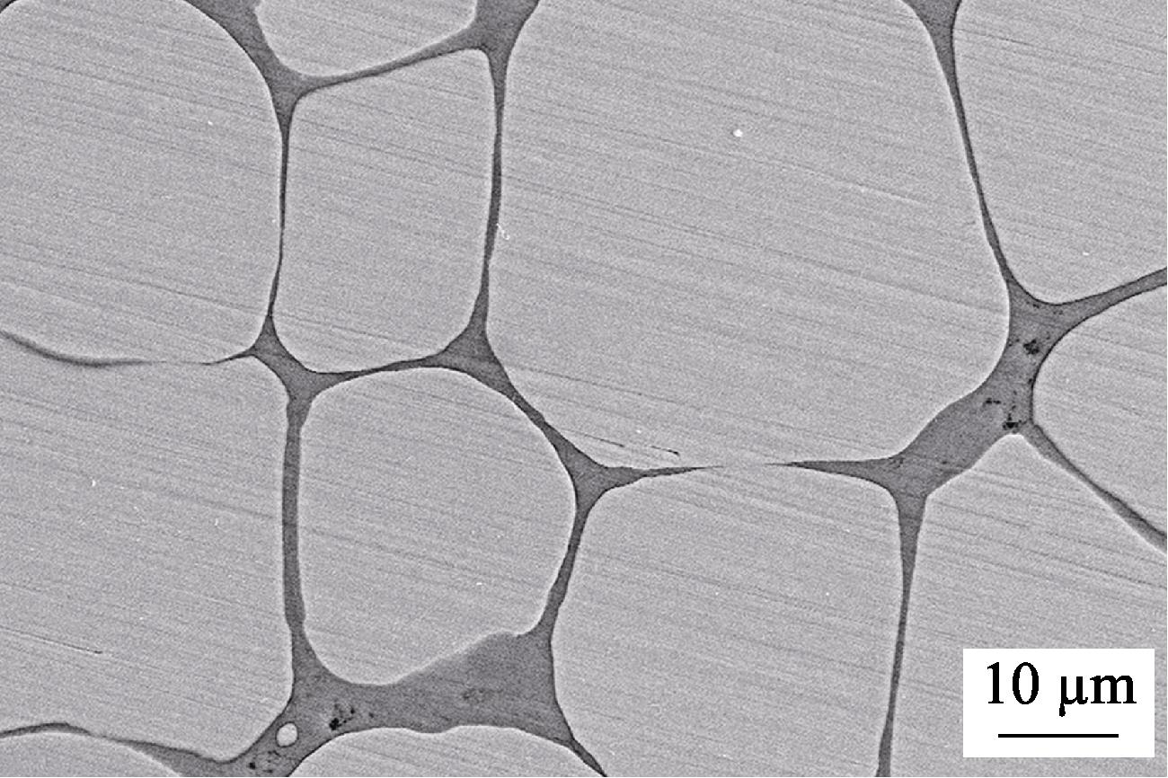 SEM secondary electron image of Fe/Ni0.5Zn0.5Fe2O4 (0.5wt% MnO2) bulk soft magnetic composite sintered by SPS