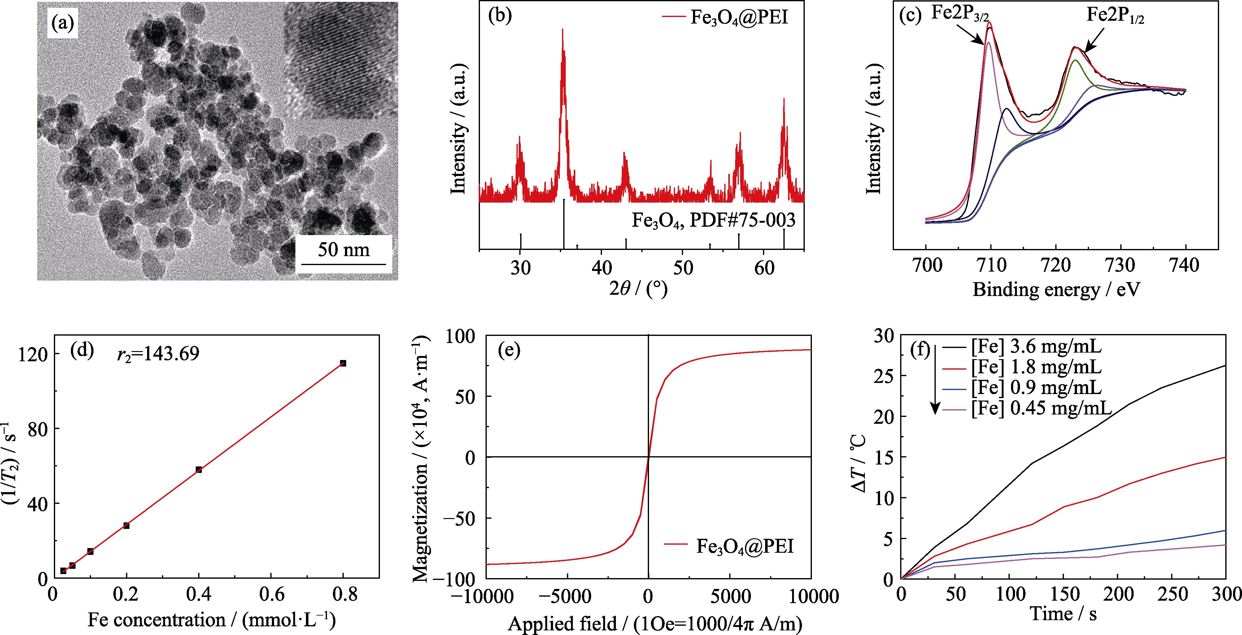 TEM images of superparamagnetic Fe3O4 nanoparticles (a), XRD patterns (b), XPS spectra (c), r2 relaxation rate (d),saturation magnetization (e), and temperature rise curves of different Fe concentrations in an alternating magnetic field (f)