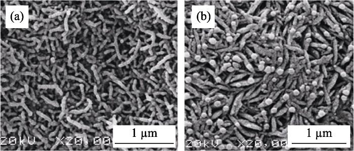 SEM images of nanostructured MnO2 fabricated by using Sol-Gel and template methods with (a) AAO template A and (b) AAO template B[23]