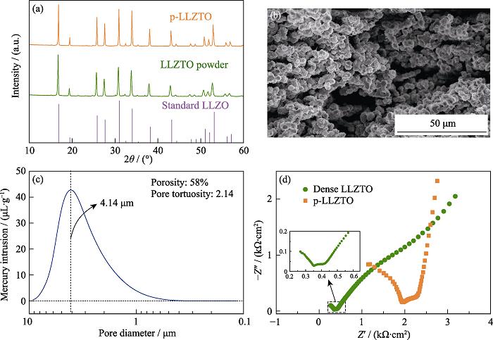 (a) XRD patterns of standard LLZO, the as-prepared LLZTO powders and p-LLZTO; (b) Cross sectional SEM image of p-LLZTO; (c) Pore size distribution of p-LLZTO; (d) EIS plots of dense LLZTO and p-LLZTO at room temperature with inset showing the partial magnified spectrum of the dense LLZTO