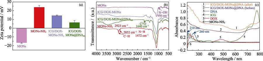 (a) Zeta potential, (b) FT-IR spectra and (c) UV-Vis spectra of MONs, MONs-NH2, ICG/DOX-MONs and ICG/DOX-MONs@DNA20 nanoparticles