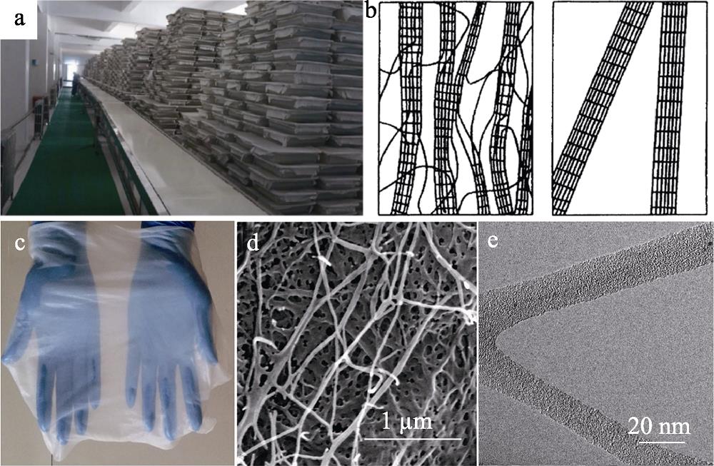 (a) Photograph of the production line for BC[3]; (b) Schematic model of the plant cellulose fibrils (left) and the BC microfibers (right)[5]; (c) Photograph of BC slice; (d) SEM and (e)TEM images of BC[4]