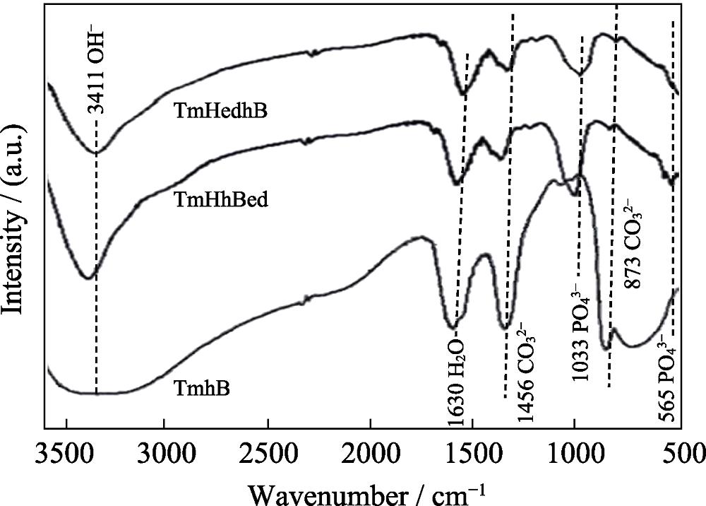 ATR-FTIR spectra of different composite coatings on titanium mesh surface