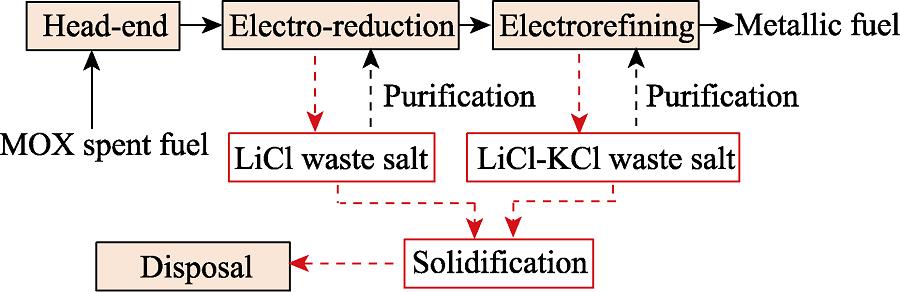 Waste salt produced in the pyrochemical process