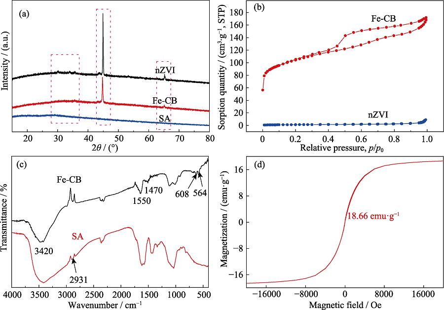 XRD patterns (a) and N2 adsorption-desorption isotherm (b) of SA, nZVI and Fe-CB; FT-IR spectra (c) of SA and Fe-CB; magnetization curve (d) of Fe-CB