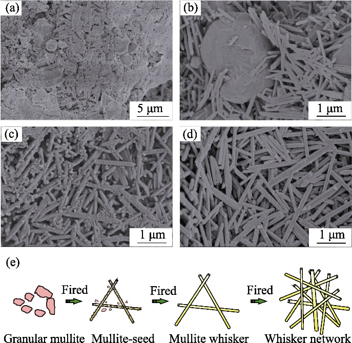 SEM photomicrographs of different compositions (a-d) and formation process of the mullite whisker network (e)[37]