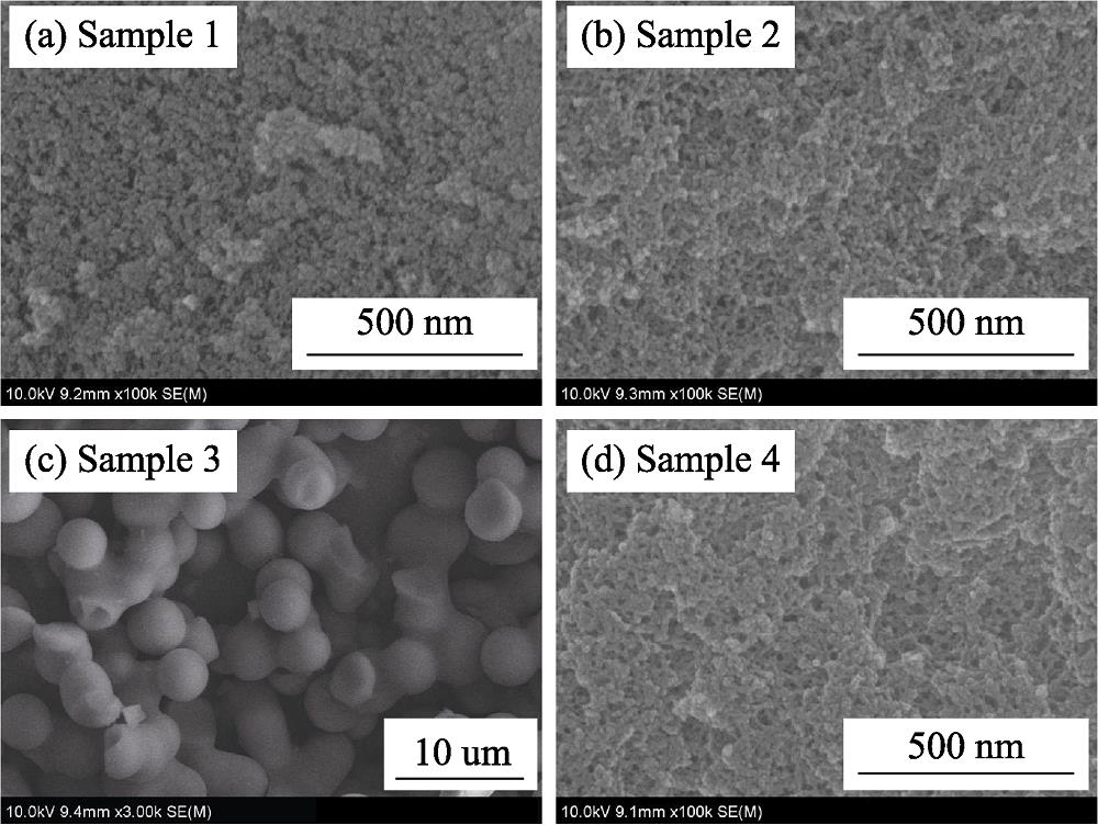 SEM images of silicon-based aerogels