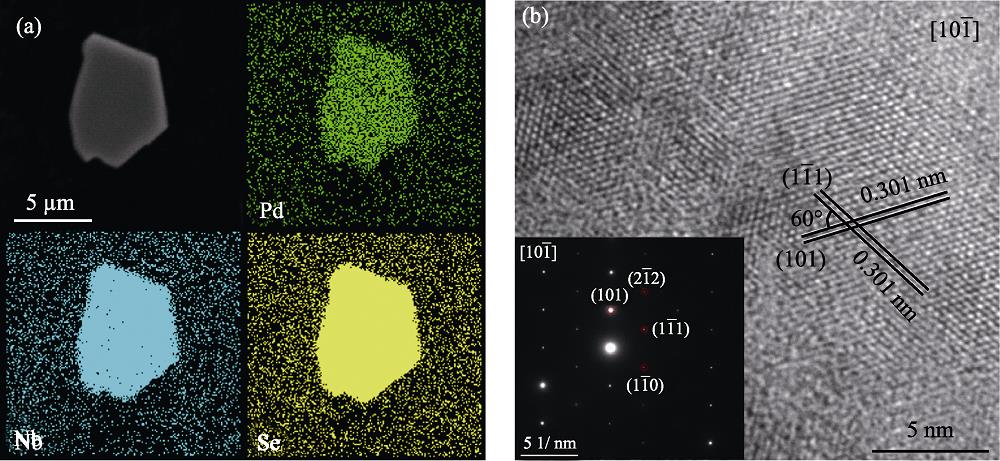(a) SEM images of Pd0.17NbSe2 and the corresponding elemental mapping analysis, and (b) HRTEM image of Pd0.17NbSe2 along [101¯] zone axis with inset showing the corresponding SAED pattern