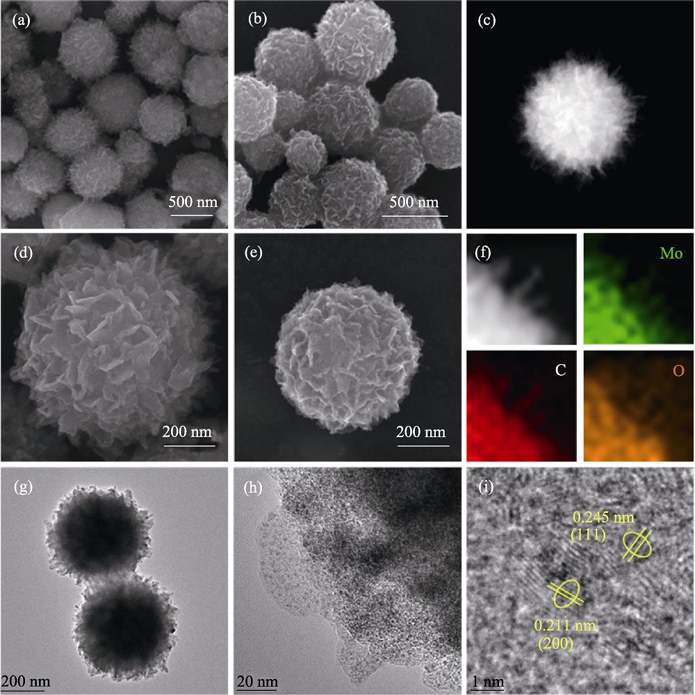 SEM images of (a, d) the precursor of the α-MoC1-x/CNS composite and (b-c, e) the α-MoC1-x/CNS composite; (f) Mo, C and O element mappings and (g-i) TEM images of the α-MoC1-x/CNS composite