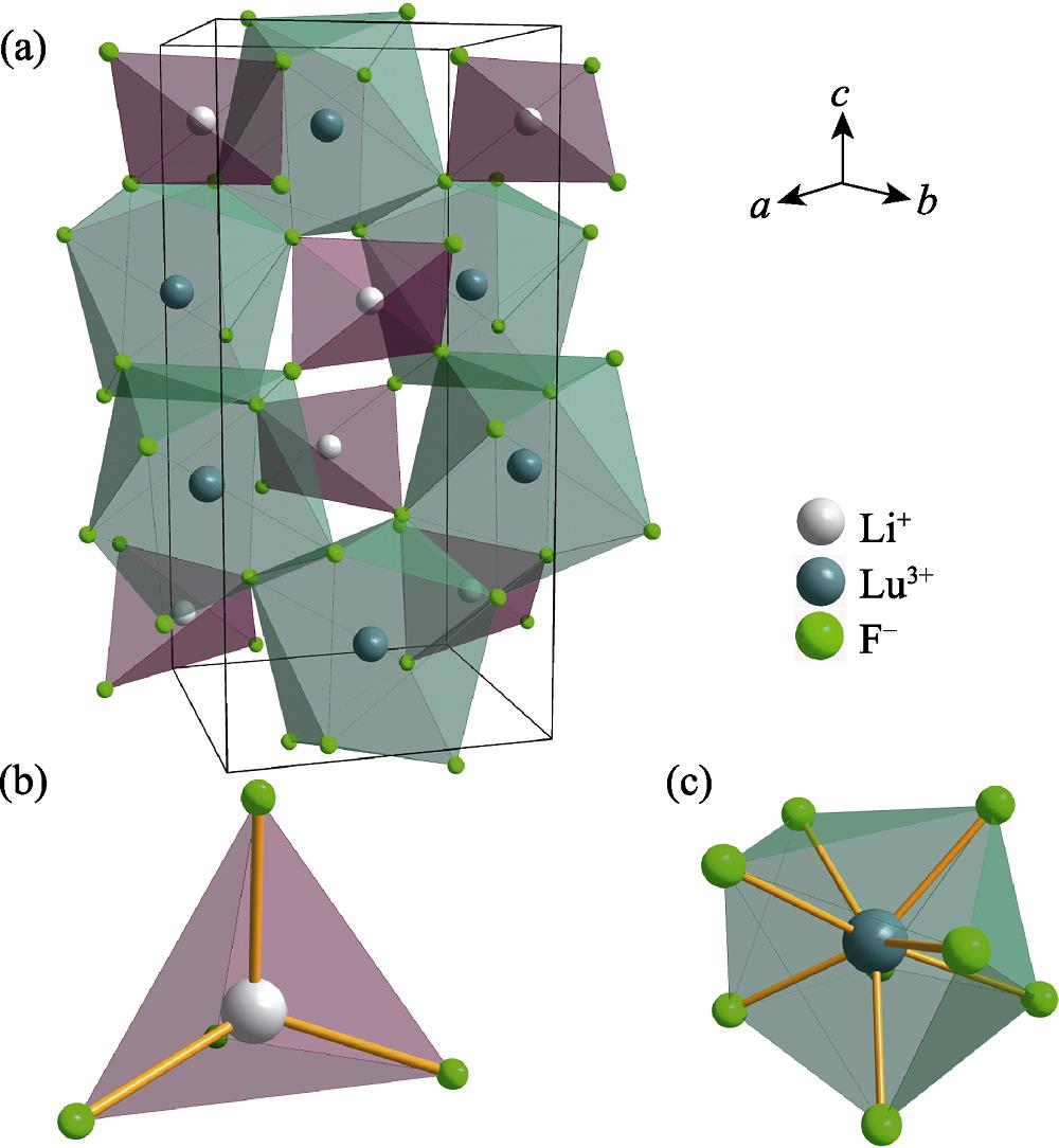 (a) Crystal structure of LiLuF4, and (b) coordination for lithium and (c) lutetium sites