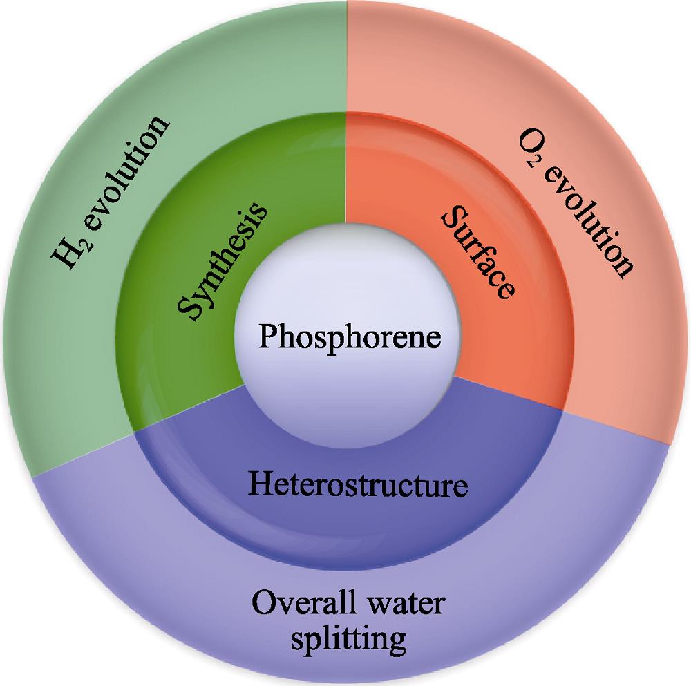 Synthesis, surface modification and heterostructure design of phosphorene-based photocatalysts for half-reactions and overall reactions of water splitting