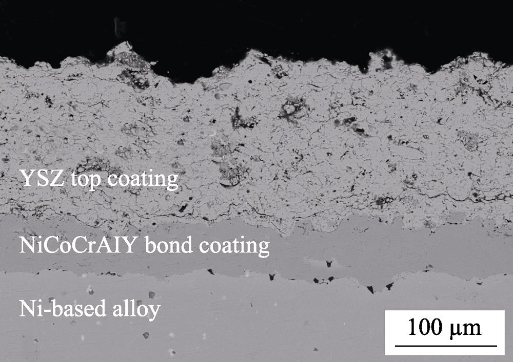 Microstructure of S1 two-layer thermal barrier coaing