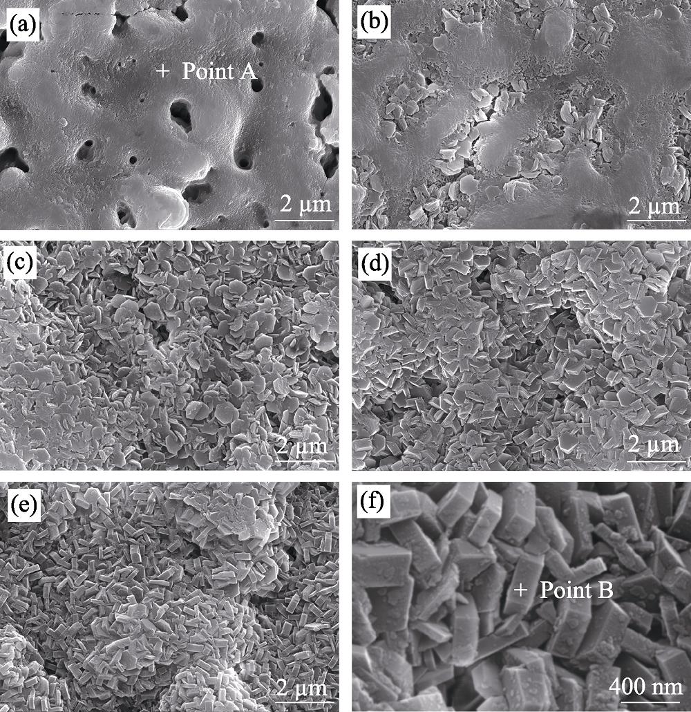 Surface morphologies of MAO coating and HT/MAO composite coating