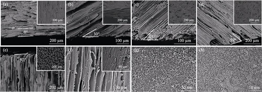 Cross-sectional and longitudinal (inserts) SEM images of the of biochar saw along varying angles: 0°(a), 30° (b), 45° (c), 60° (d), and 90° (e); SEM images of wood before (insert in (f)) and after (f) delignification; TEM (g) and HRTEM(h) images of biochar oriented at 45°