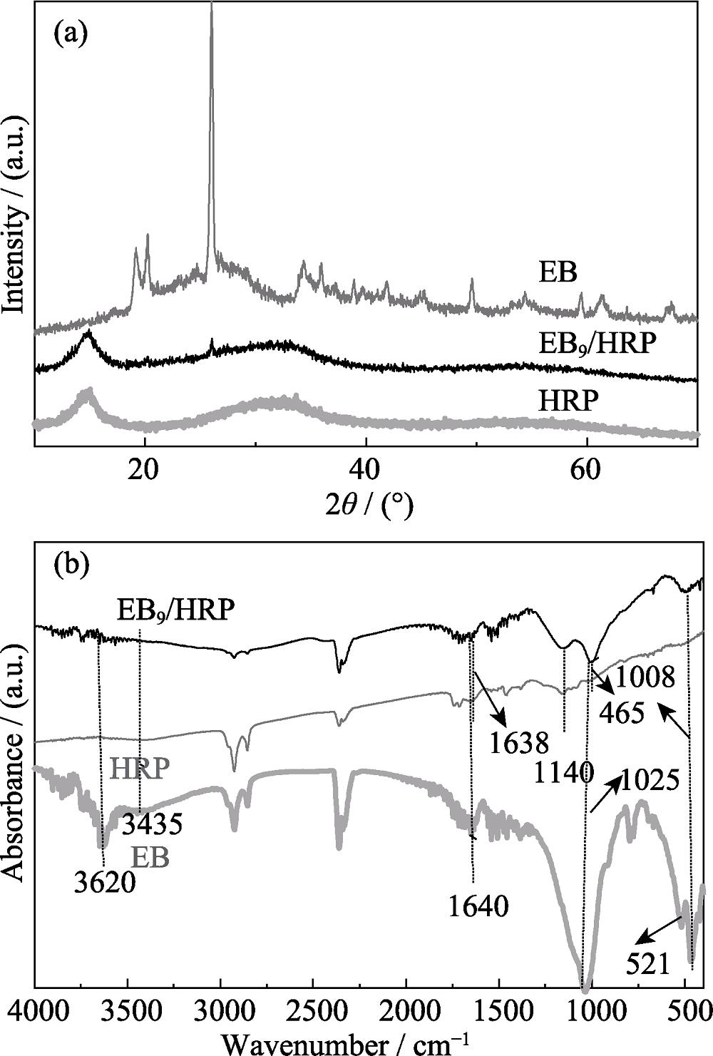 XRD patterns (a) and FT-IR spectra (b) of EB, HRP and EB9/HRP