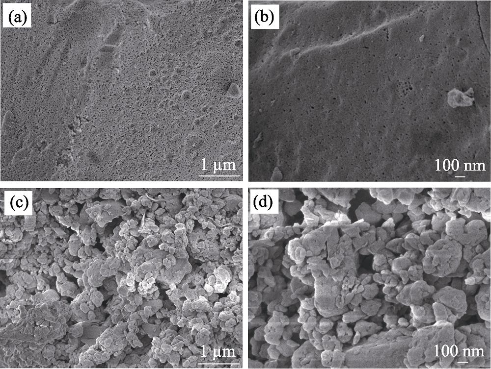SEM images of (a, b) HRP and (c, d) EB9/HRP